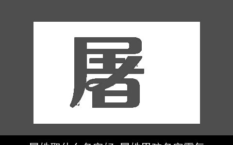 屠姓取什么名字好_屠姓男孩名字霸气