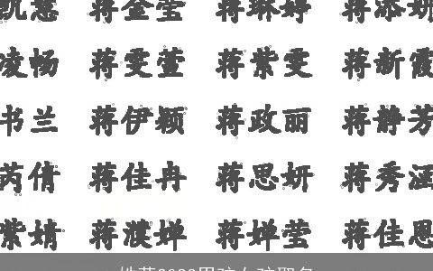 姓蒋2023男孩女孩取名