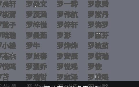 姓范的有哪些名字男孩