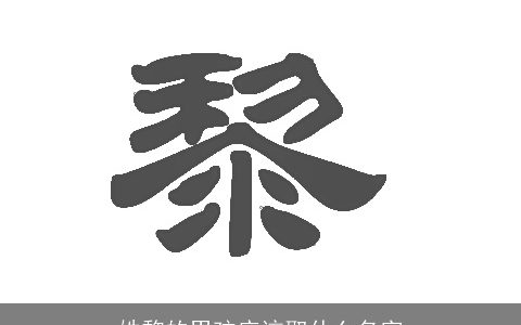 姓黎的男孩应该取什么名字