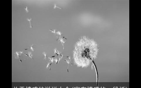 关于情感的说说大全(富有情感的一段话)