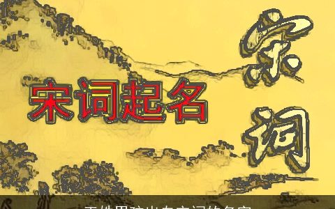 王姓男孩出自宋词的名字