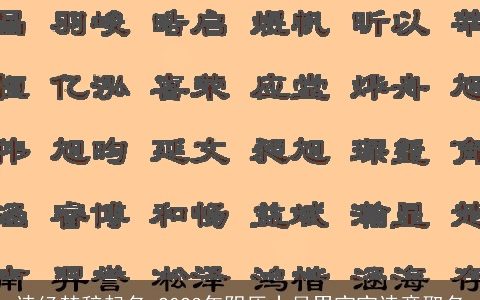 诗经楚辞起名 2023年阴历十月男宝宝诗意取名