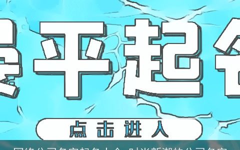 网络公司名字起名大全 时尚新潮的公司名字