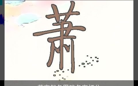 萧字起名男孩名字打分