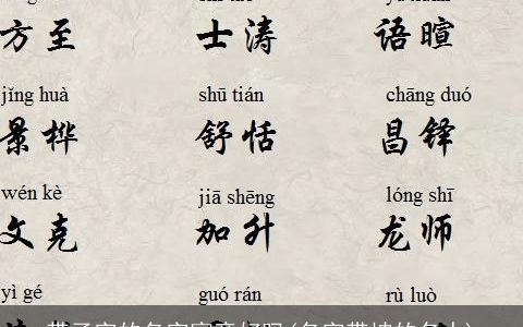 带子字的名字寓意好吗(名字带坤的名人)