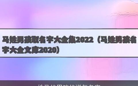 姓马的男孩的洋气名字