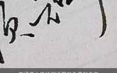 有涵养大度的柳姓男孩免费起名字