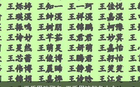 王氏男孩取名 王氏男孩起名大全