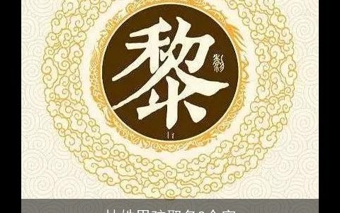 林姓男孩取名2个字