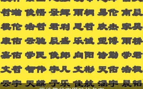 薛姓带华字男孩的名字