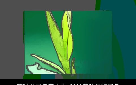 茶叶公司名字大全 2024茶叶品牌取名