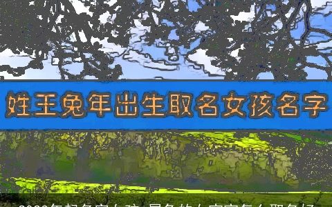 2024年起名字女孩 属兔的女宝宝怎么取名好