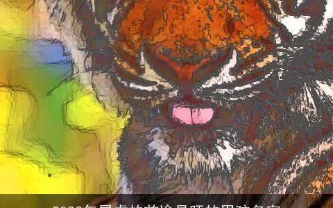 2023年属虎的前途最旺的男孩名字