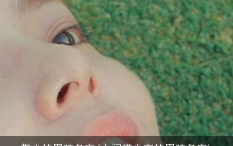 带少的男孩名字(中间带少字的男孩名字)