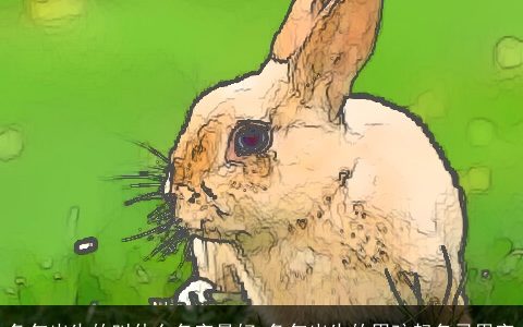 兔年出生的叫什么名字最好 兔年出生的男孩起名忌用字