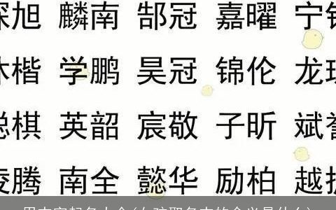 用杰字起名大全(女孩取名杰的含义是什么)