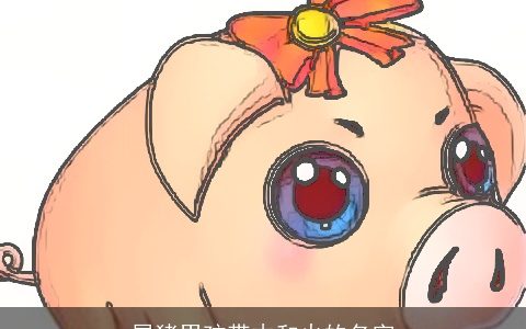 属猪男孩带木和火的名字