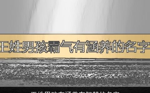 王姓男孩有涵养有智慧的名字