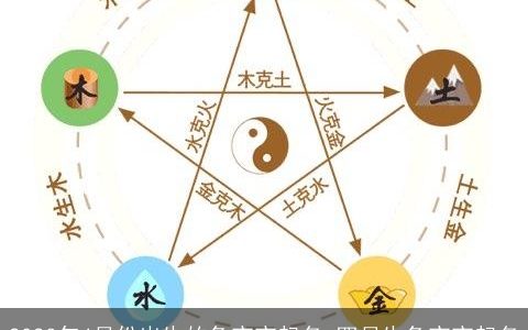 2023年4月份出生的兔宝宝起名 四月生兔宝宝起名