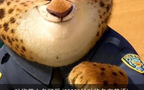 动物英文名可爱(20230种动物名字英语)