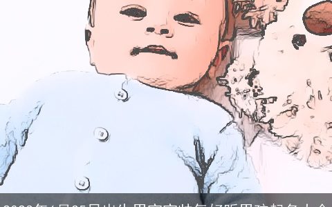 2024年6月25日出生男宝宝帅气好听男孩起名大全