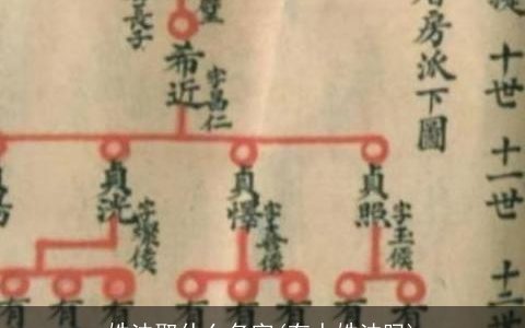 姓法取什么名字(有人姓法吗)