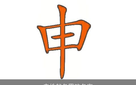 申姓起名男孩名字