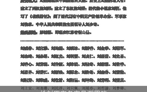 姓刘四字名字最潮男孩