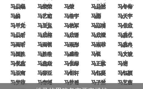 姓马的男孩名字两字样的