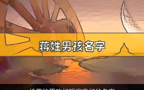 姓蒋的男孩好听寓意好的名字