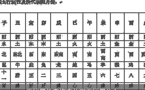 五行属性查询表札字五行属什么