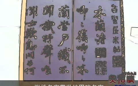 张姓名字带世的男孩名字