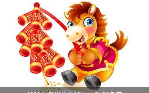 2023牛年出生的路姓女孩起名字