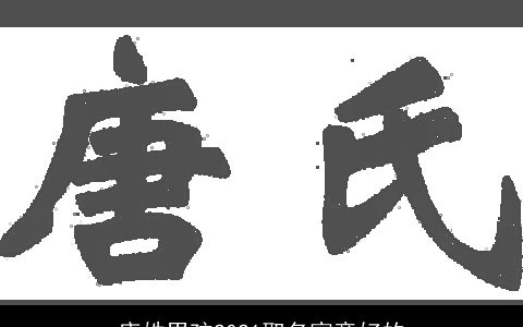 唐姓男孩2021取名寓意好的