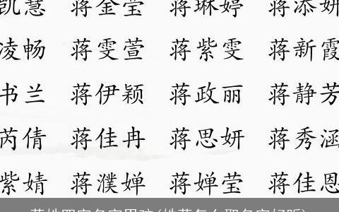 蒋姓四字名字男孩(姓蒋怎么取名字好听)