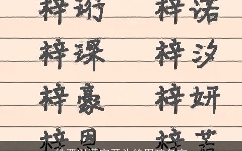 姓严以潇字开头的男孩名字