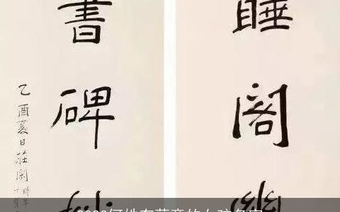 2023何姓有蕴意的女孩名字