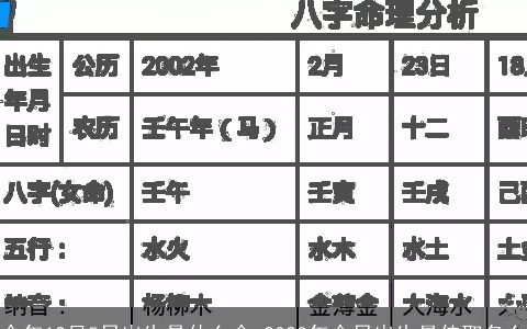 今年12月5日出生是什么命 2024年今日出生最佳取名么