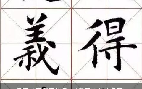 名字里带海字的名人(海字开头的名字)