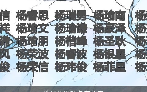 姓杨的男孩名字单字