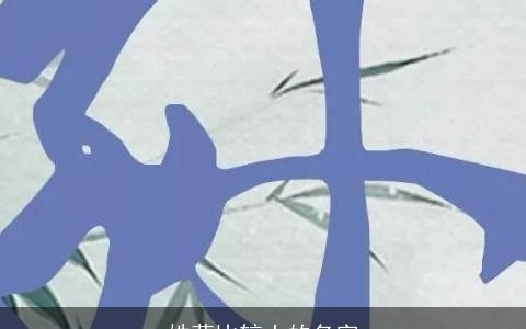 姓莫比较土的名字