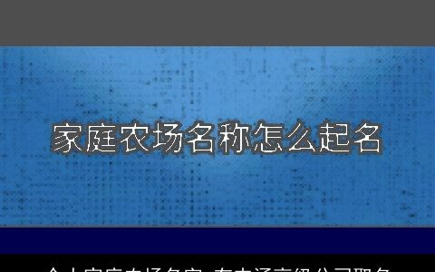 个人家庭农场名字 有内涵高级公司取名