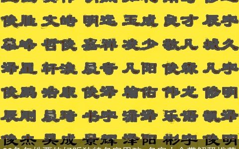 22兔年姓贾的好听独特名字男孩 名字大全带解释推荐