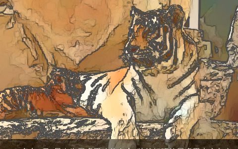 2023兔年8月4日出生属虎男孩什么命 独特好听的属虎男宝宝名字