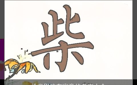 姓柴男孩有寓意的名字大全