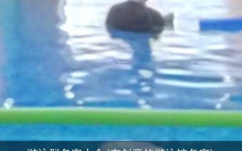 游泳群名字大全(有创意的游泳馆名字)