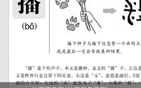 林字取名字(林字起名两字)