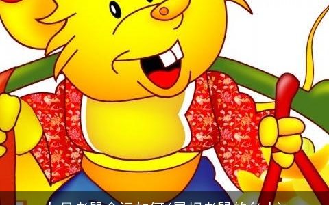 九月老鼠命运如何(属相老鼠的名人)