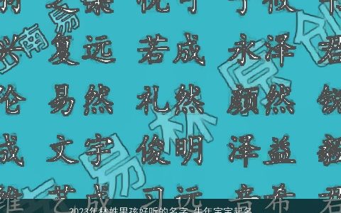 2023年林姓男孩好听的名字 牛年宝宝起名大全 新颖好听的林姓男孩虎宝宝名字大全挑选